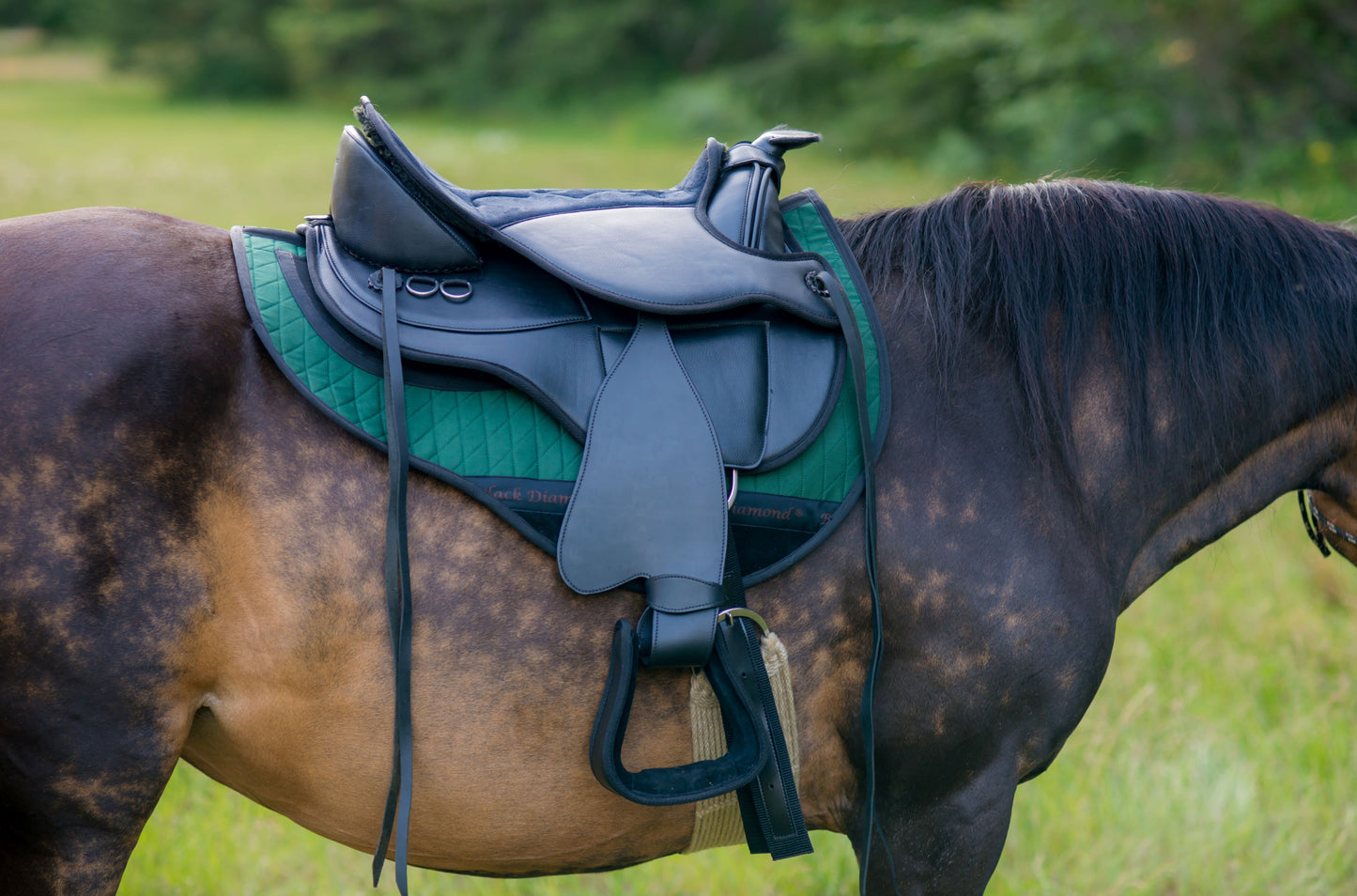 Town and Country Echo (synthetic saddle) Western fenders and stirrups included