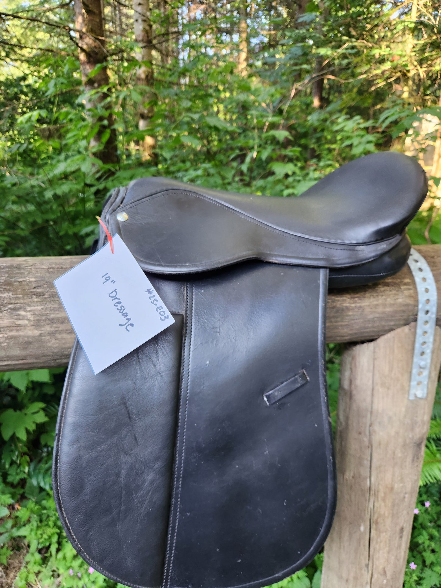 19" Dressage Saddle