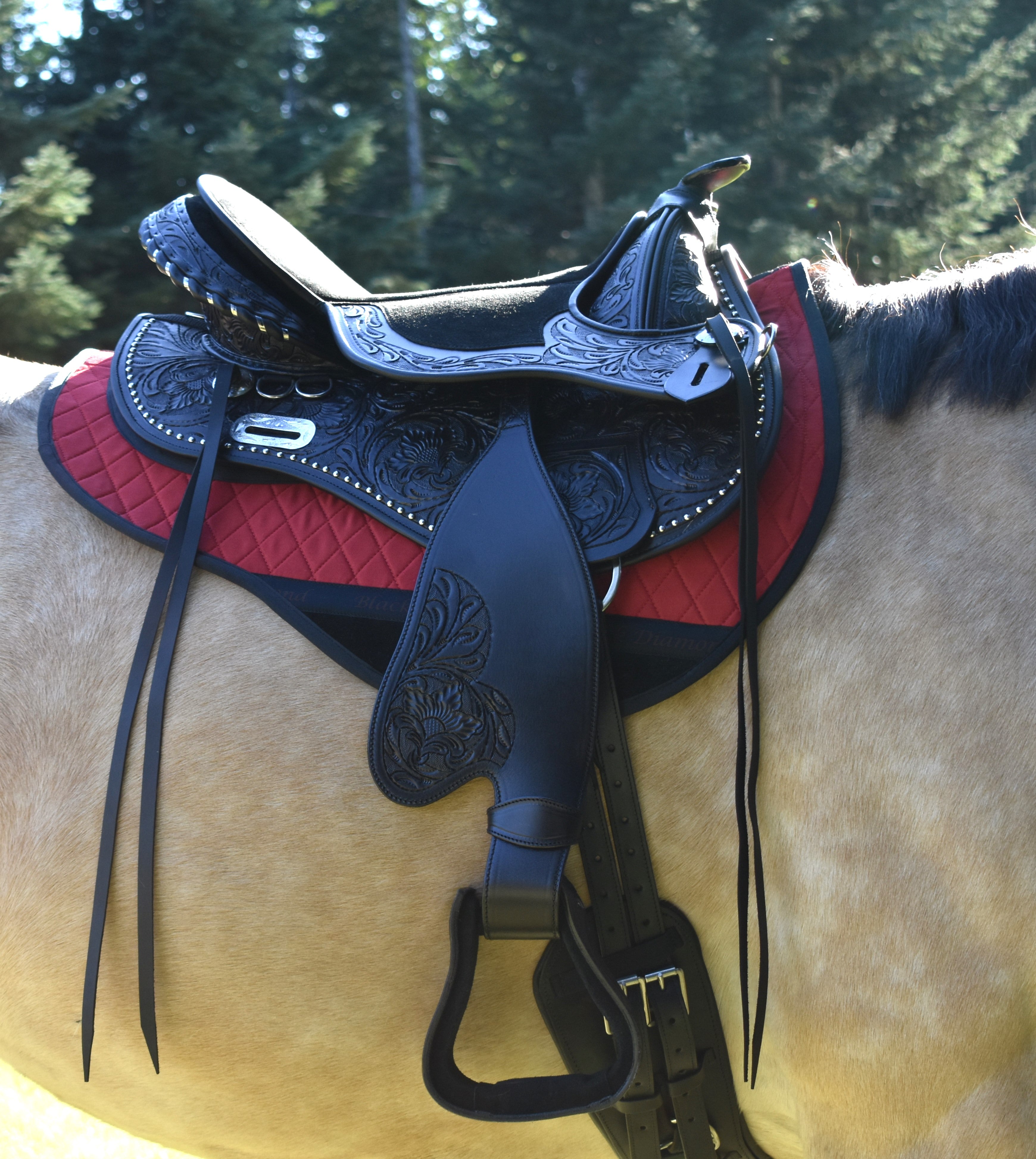 Black Forest Treeless Saddles are the premier Treeless saddle ...